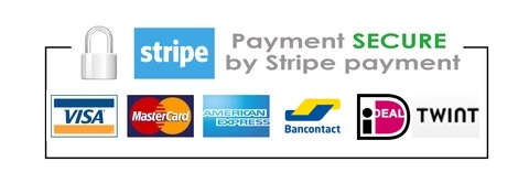 Secure_Payment_Logo_large_stripe